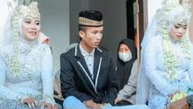 Umanya Kabau Handak Kawin Pulang