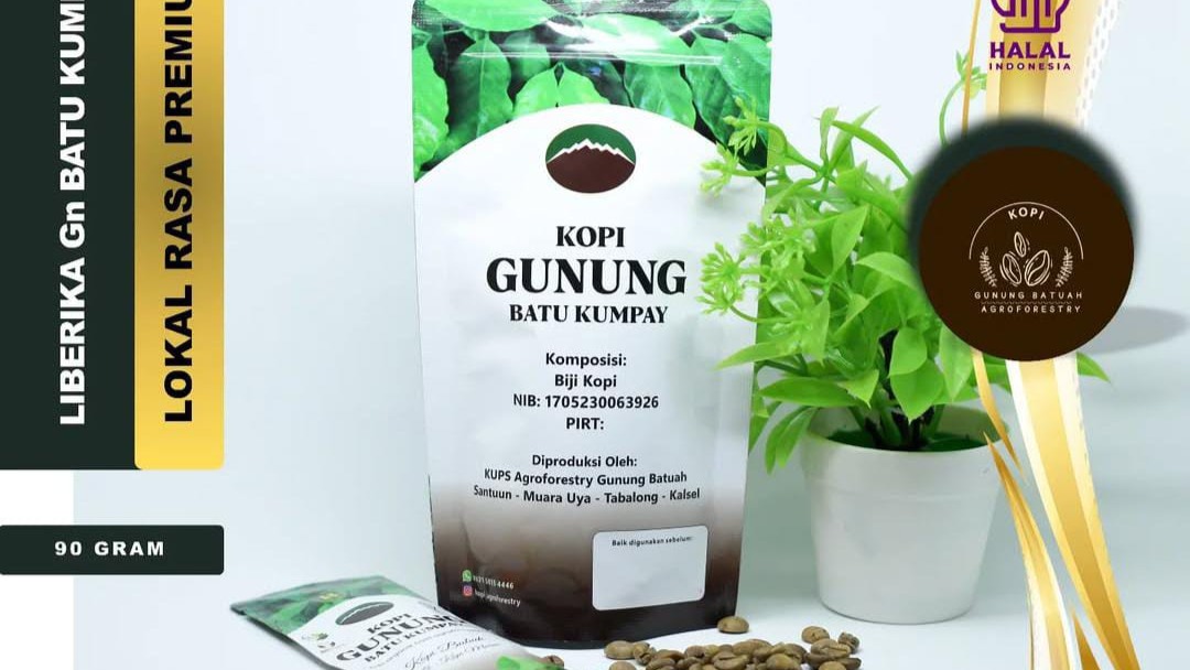 ☕Kopi Gunung Batu Kumpay, Cita Rasa Khas Desa Santuun