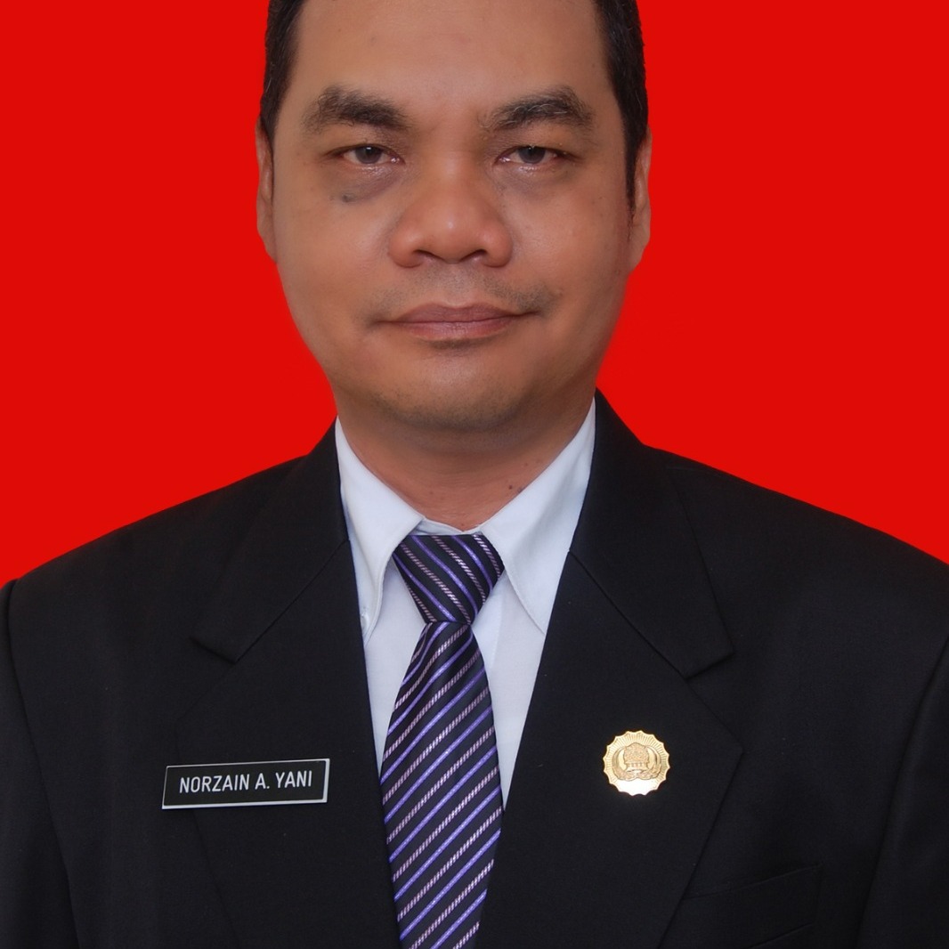 Ir. NORZAIN AKHMAD YANI, M.Si