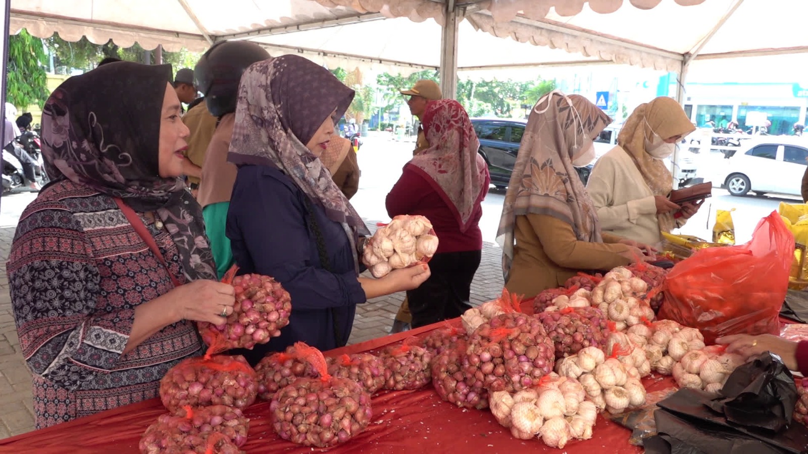 Anggaran Dirasionalkan 34 Persen, DKPPTPH Tabalong Pastikan Layanan untuk Petani Tetap Optimal