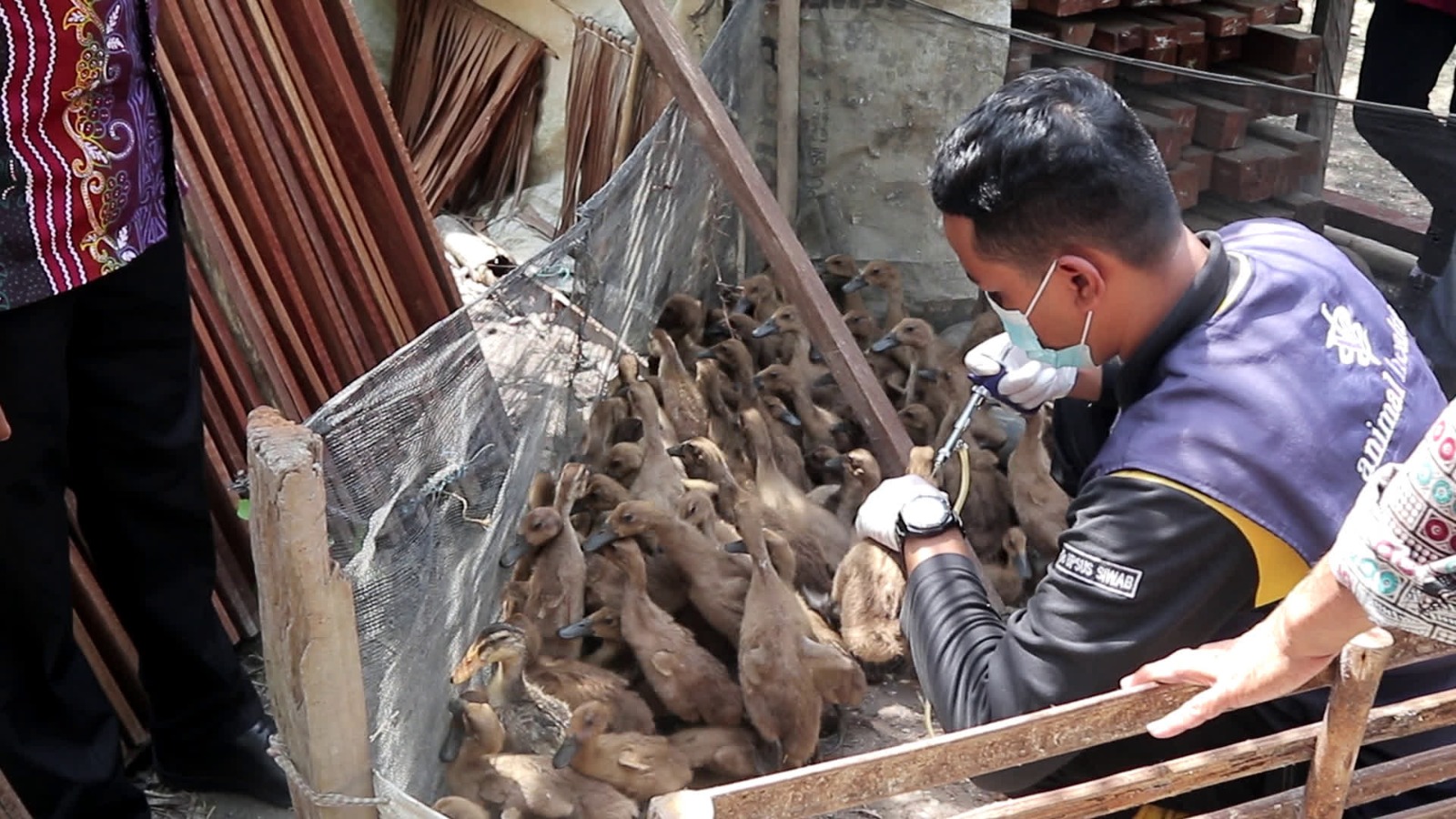 Cegah Penyakit Hewan, DKPPP Tabalong Perkuat Layanan Kesehatan Hewan