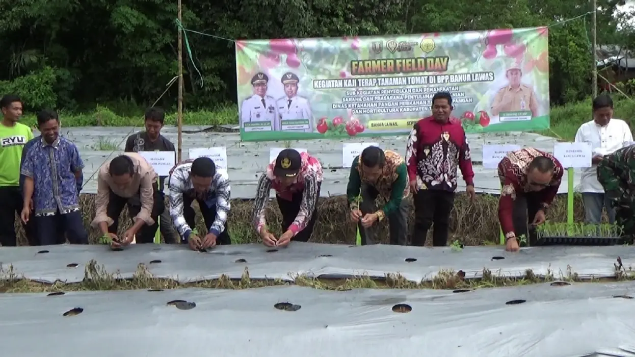 2025-09-22-farmer-field-day-di-banua-lawas-dkpptph-kenalkan-pertanian-organik-pada-petani