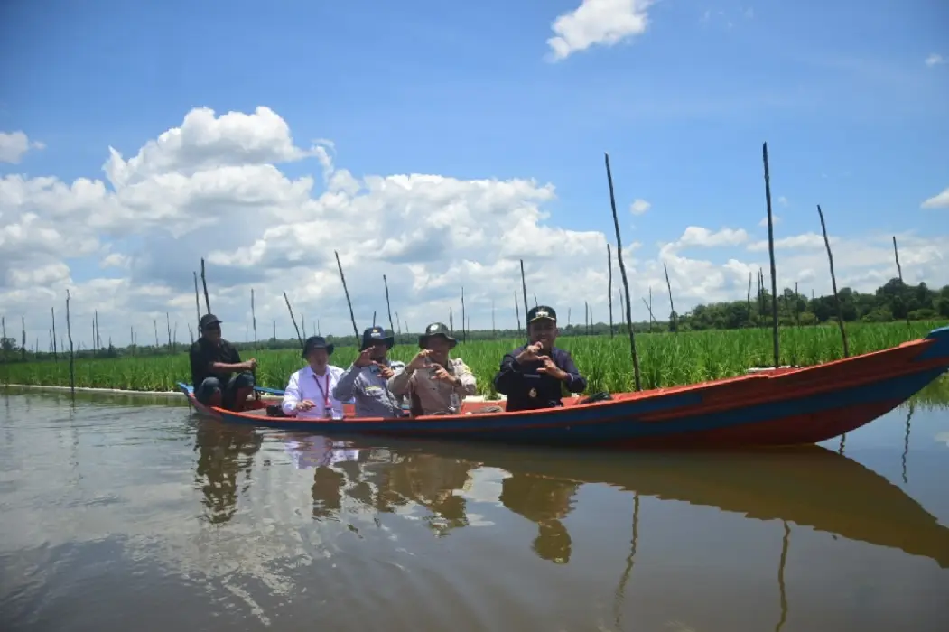 Wakil Bupati Tabalong Tinjau Pengembangan Padi Apung