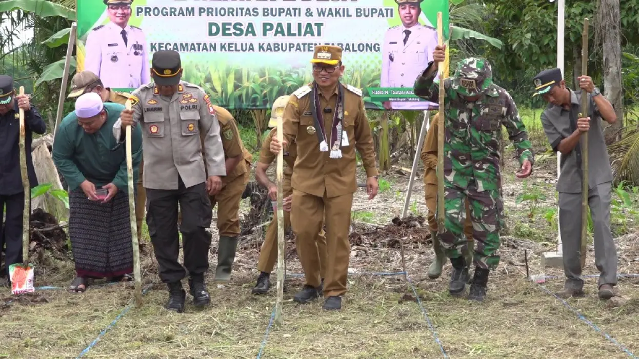 Pemkab Akan Normalisasi 60 Km Anak Sungai, Targetkan 5.000 Ha Lahan Rawa Ditanam Padi