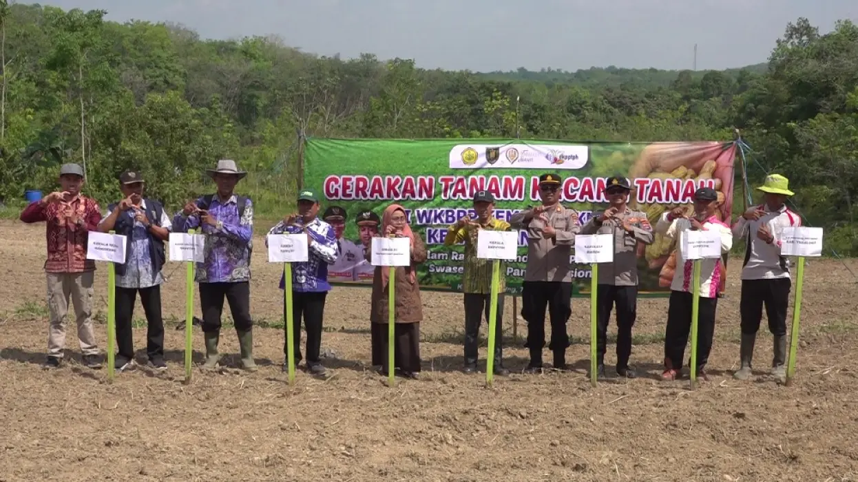 Tabalong Gencarkan Gerakan Tanam Kacang Tanah & Jagung untuk Swasembada Pangan