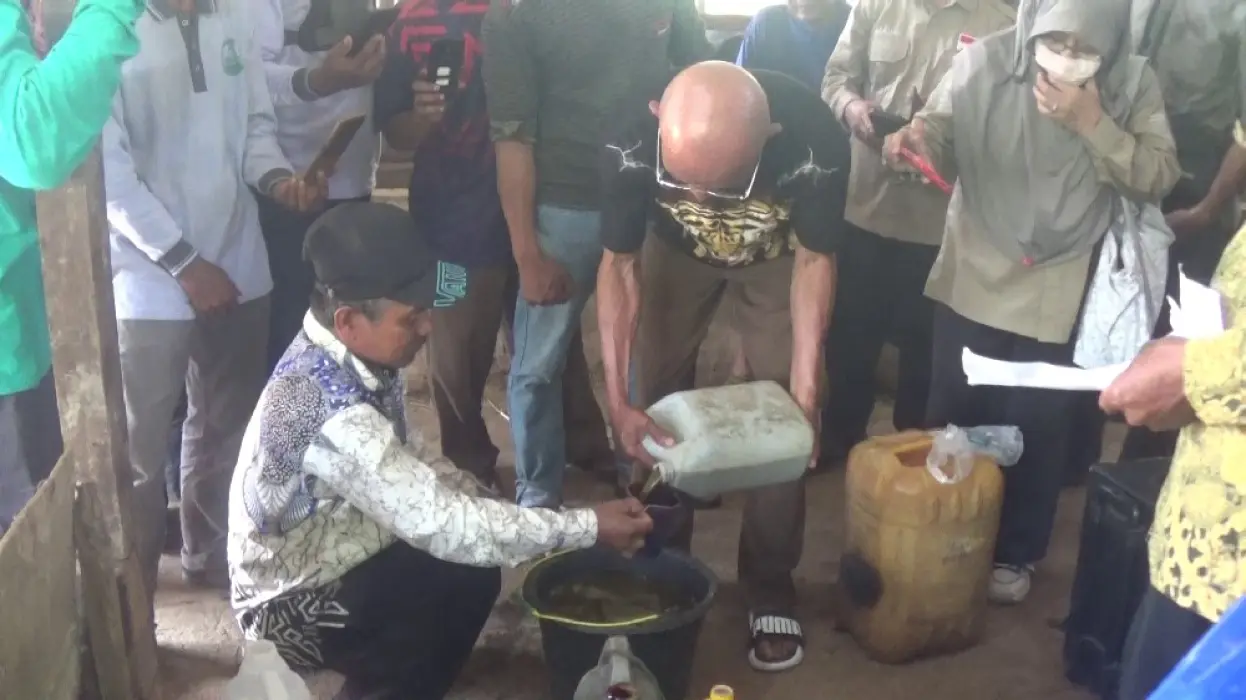 Ubah Limbah Jadi Berkah: Petani Tabalong Raup Jutaan dari Kotoran Sapi