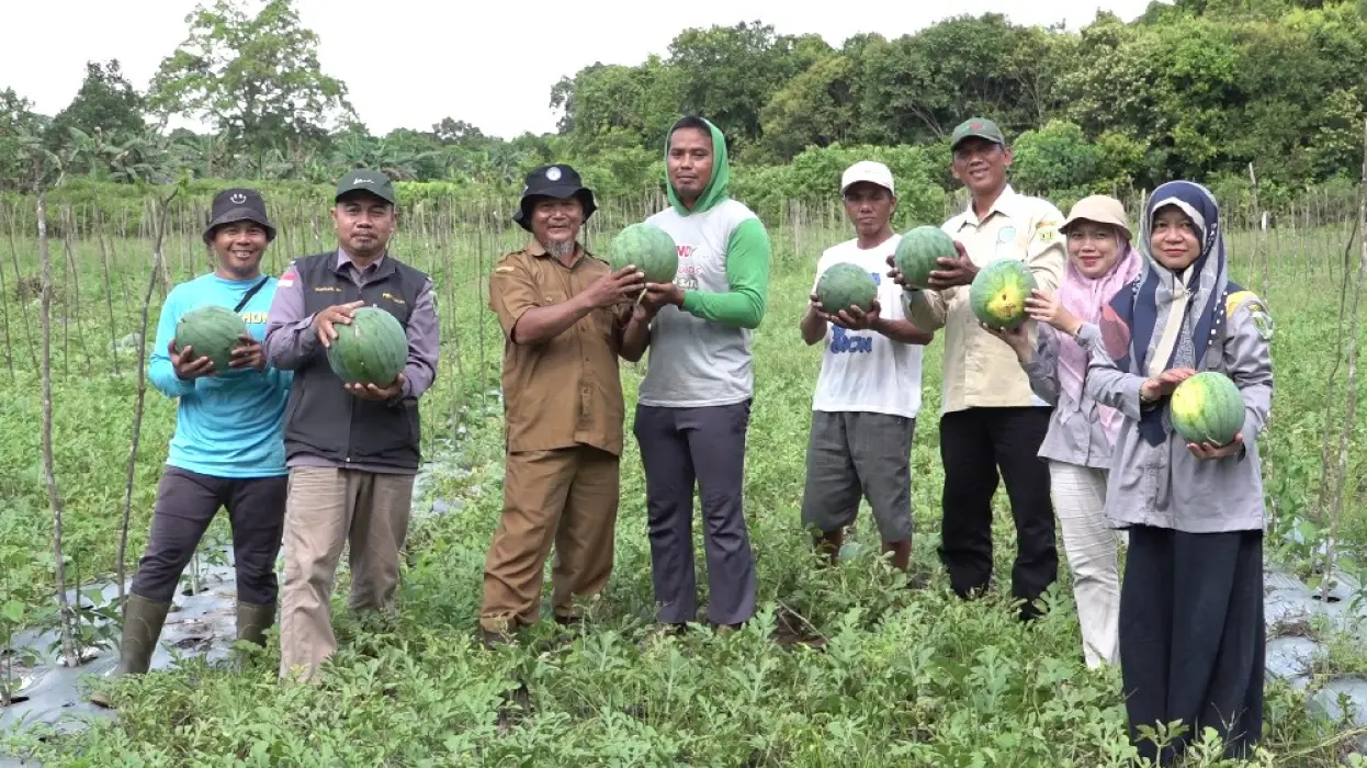 Panen Perdana Semangka, Poktan Padaringan 3 Mulai Wujudkan Kampung Hortikultura